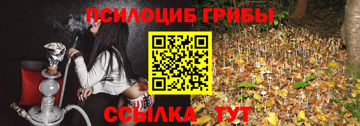 Галлюциногенные грибы прущие грибы  Вход с VPN  Ангарск 